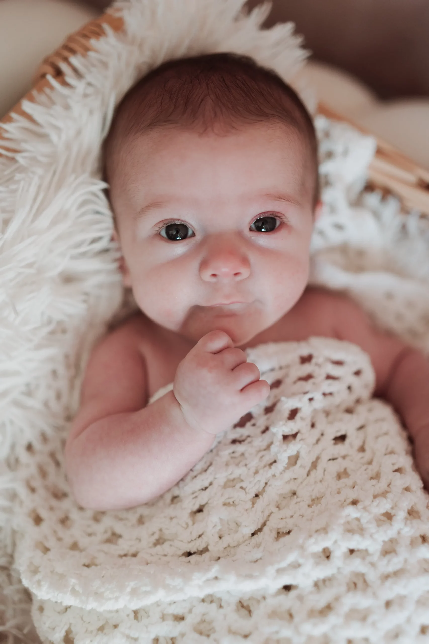 Séance photo de naissance avec accessoires